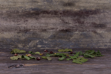 autumn old interior abstract wooden background