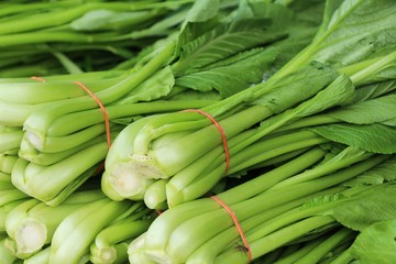 Fresh choy for cooking in the market