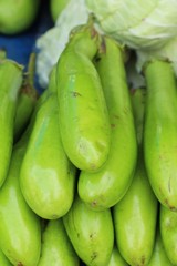 Fresh eggplant green organic in the market