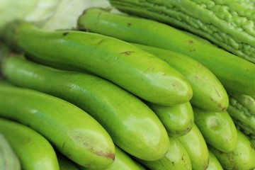 Fresh eggplant green organic in the market