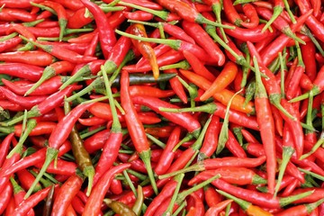 Fresh chilli for cooking in the market