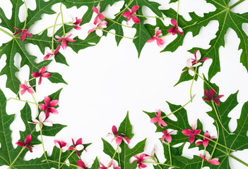 Green leaf pattern and  Rangoon creeper or Quisqualis indica flower frame on white background