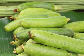 Fresh cucumbers for cooking in the market