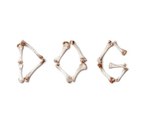 Word dog made up of chicken bones on white background