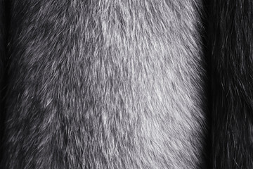 Fox fur. Fox fur texture of dark brown color close-up background