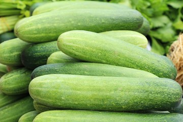 Fresh cucumbers for cooking in the market