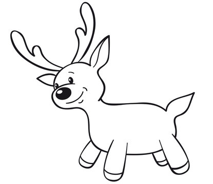 cute reindeer coloring picture
