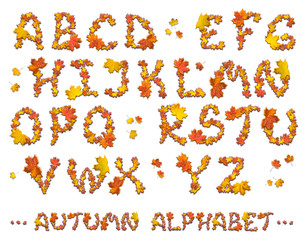 Set of autumn alphabet letters