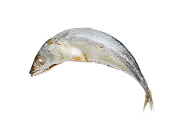 boiled mackerel fish on white background © pedphoto36pm