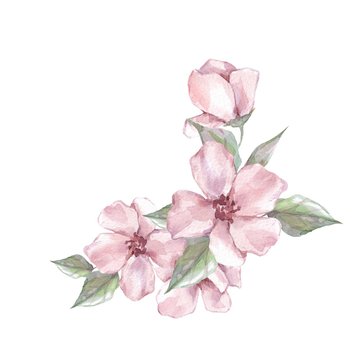 Watercolor branch with flowers. Wedding, birthday, Valentine's Day, Mother's Day Isolated on white background