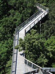 Baumkronenpfad Nationalpark Hainich