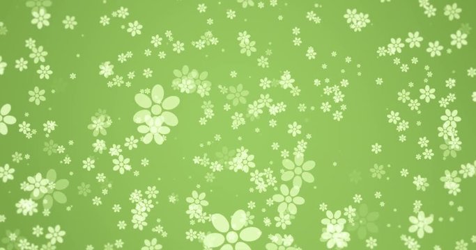 animation - modern rotation falling flowers