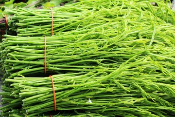 Acacia pennata for cooking in the market