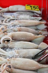 Fresh squid for cooking in the market