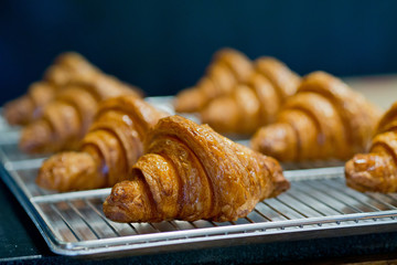 croissant bread 