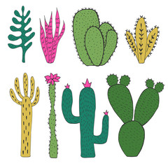 Hand drawn vector cacti