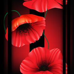 Beautiful, realistic poppy flowers (poppies) with black lines, 3d effect and place for text seamless pattern. Vector illustration