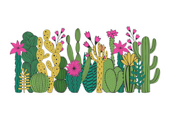 Cacti composition. Vector. Isolated. © anatartan