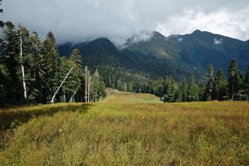 Early autumn mountain forest landscape with cloudy sky, north Caucasus.