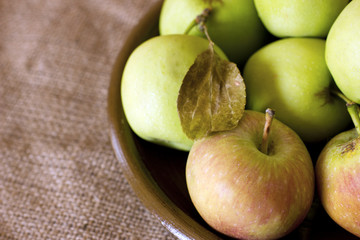 Green and red garden apples on a clay brown dish