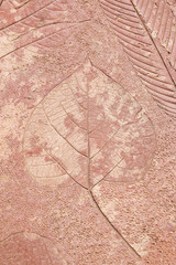 marks of leaf on the concrete, leaf background.
