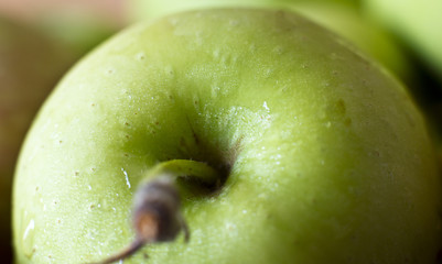A green apple in drops of water. Macro shooting. Selective focus.
