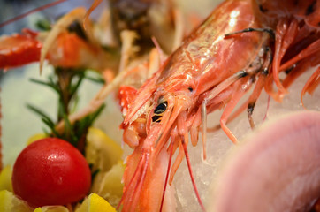 fresh seafood close up