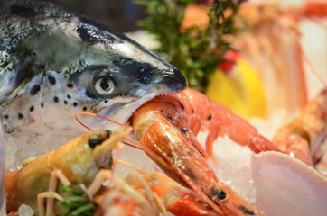 fresh seafood close up