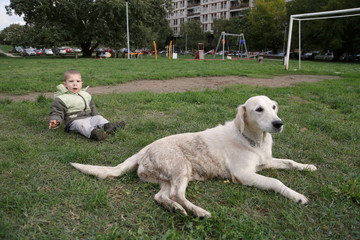 Little boy and his dog laying on grass