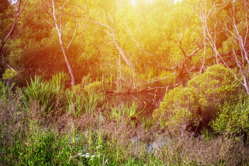 Wild nature without people