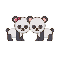 Obraz premium couple of panda bears icon