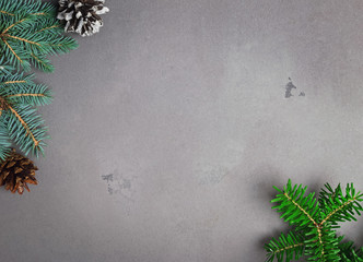 Fir branches on grey background