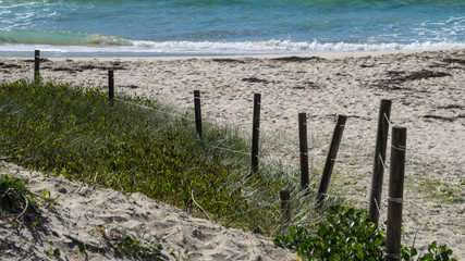 Fototapeta na wymiar Fence at One Mile Beach, Forster, NSW