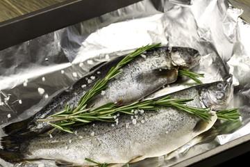 Raw whole trouts. Seafood concept