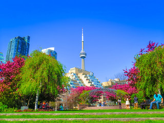Visiter Toronto en Ontario