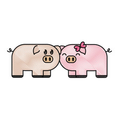 couple of cute pigs icon