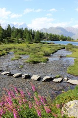 lac d'Arpy