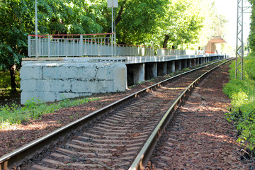 Fototapeta premium Abandoned station train platform in the woods