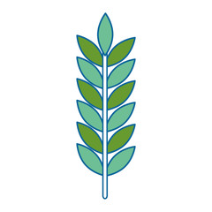 laurel leaf isolated icon