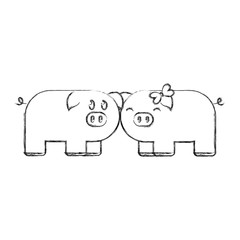 couple of cute pigs icon