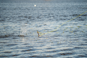 Image of ripple on sea surface