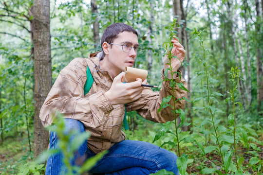 Image of man with notebook and pencil studying plant