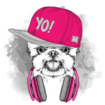 The poster with the image dog portrait in hip-hop hat adn with headphones. Vector illustration.