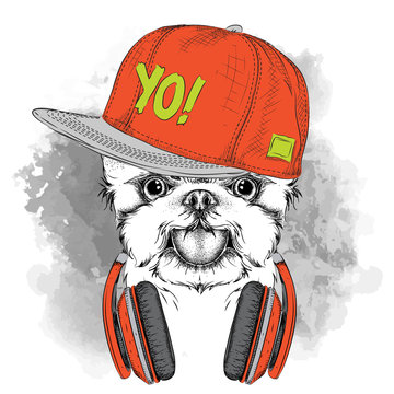 The poster with the image dog portrait in hip-hop hat adn with headphones. Vector illustration.