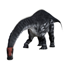 3D Rendering Dinosaur Apatosaurus on White