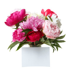 Bouquet of peonies isolated on white background.
