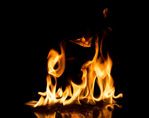 Fototapeta premium Fire flames