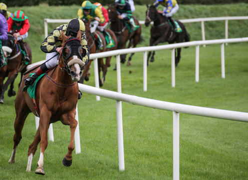lead horse and jockey in a race taking the final corner