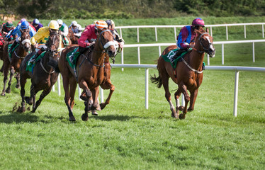 Race horses and jockey galloping on the racetrack 