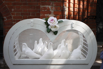 Weiße Tauben in Herzförmigem Käfig